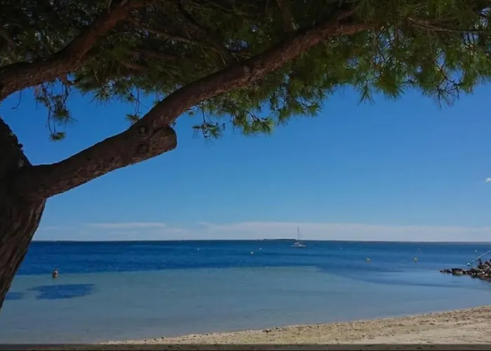 Apartman Location Estivale